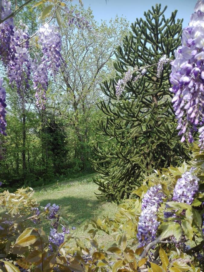 La Vie En Rose Bed & Breakfast Buia Екстериор снимка